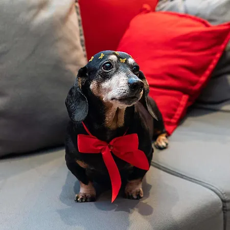 Hotel Ibis Hauptbahnhof 3*