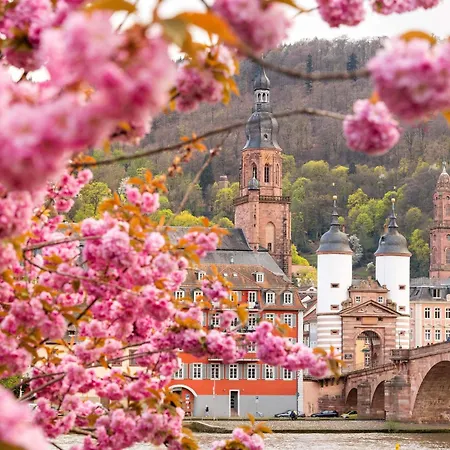 Ibis Hauptbahnhof 3* Heidelberg