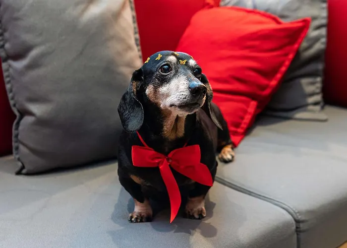 Hotel Ibis Hauptbahnhof 3*