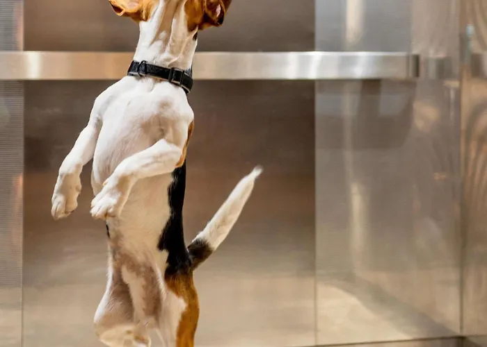 Ibis Hauptbahnhof Heidelberg