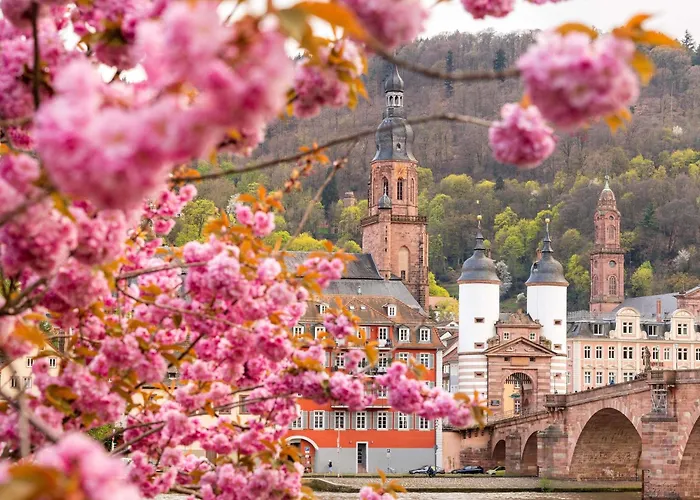 Ibis Hauptbahnhof 3* Heidelberg